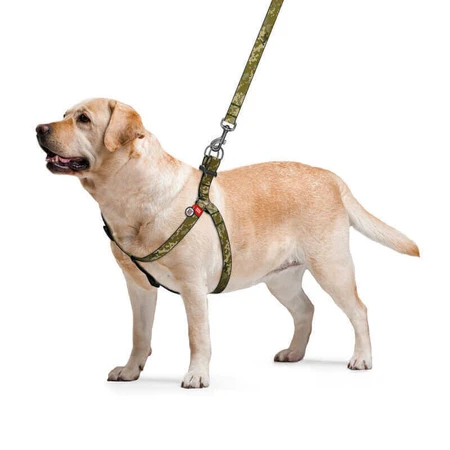 Collar (Коллар) Waudog Nylon - Шлей для собак с рисунком 'Милитари' и QR паспортом, пластиковый фастекс 2,5х60-85 см: цены и характеристики