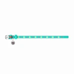 Collar (Коллар) Waudog Glamour – Нашийник шкіряний з QR паспортом для собак, візерунок 'Зірочка' світиться/світловідбиваючий 1,2x21-29 см (Ментоловий): ціни та характеристики