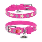 Collar (Коллар) Waudog Glamour – Нашийник шкіряний з QR паспортом для собак, візерунок 'Зірочка' світиться/світловідбиваючий 1,2x21-29 см (Рожевий): ціни та характеристики