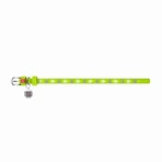 Collar (Коллар) Waudog Glamour – Ошейник кожаный с QR паспортом для собак, узор 'Звездочка' светящийся/светоотражающий 2x30-39 см (Салатовый): цены и характеристики