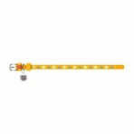 Collar (Коллар) Waudog Glamour – Нашийник шкіряний з QR паспортом для собак, візерунок 'Зірочка' світиться/світловідбиваючий 2,5х38-49 см (Жовтий): ціни та характеристики