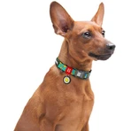 Collar Waudog Nylon - Нашийник нейлоновий з малюнком "Смайли на блакитному" і QR паспортом для собак S (1,5х25-35 см) (Різнокольоровий): ціни та характеристики