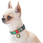 Collar Waudog Nylon - Нашийник нейлоновий з малюнком "Смайли на блакитному" і QR паспортом для собак S (1,5х25-35 см) (Різнокольоровий): ціни та характеристики