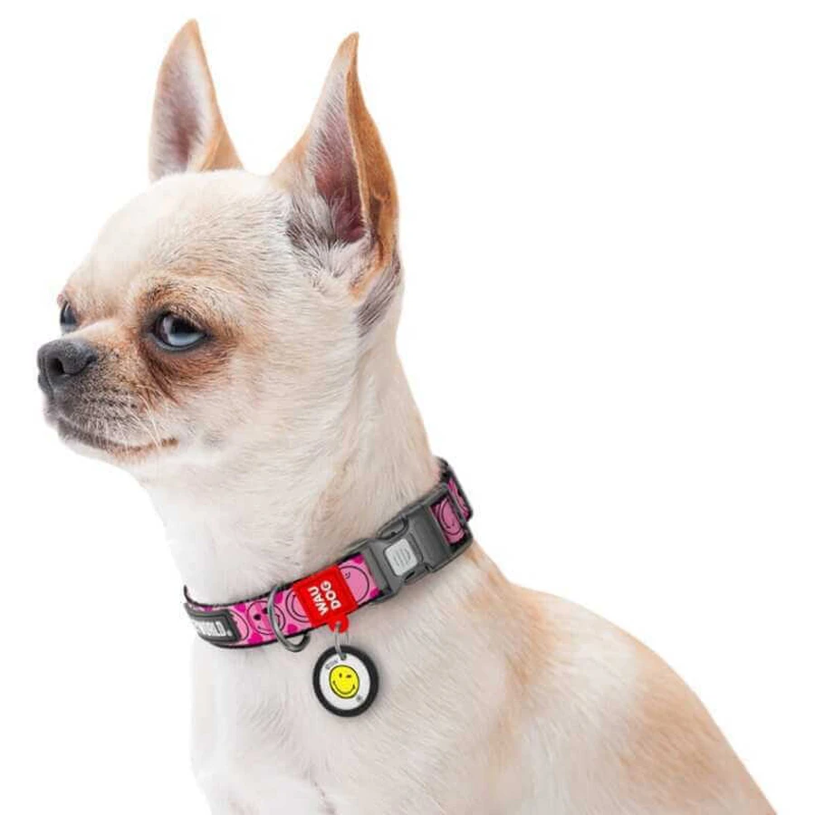 Collar Waudog Nylon - Нашийник нейлоновий з малюнком "Смайли на рожевому" і QR паспортом для собак L (2,5х33-49 см) (Різнокольоровий): ціни та характеристики