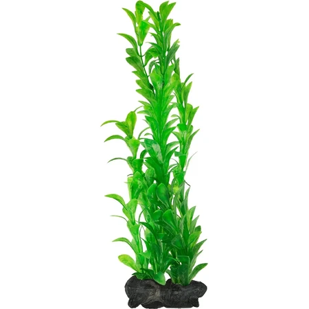 Tetra Hygrophila Deco Art Plant Рослина для декору акваріума, L: ціни та характеристики