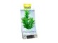 Tetra Cabomba Gr. DecoArt Plant Растение для декора аквариума, S
