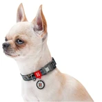 Collar Waudog Nylon - Нашийник нейлоновий з малюнком "Тінь Бетмена" і QR паспортом для собак XL (2,5х37-58 см): ціни та характеристики