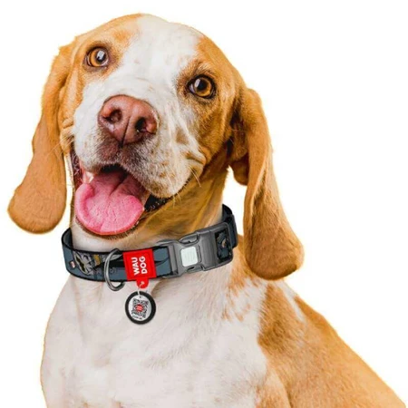 Collar Waudog Nylon - Нашийник нейлоновий з малюнком "Тінь Бетмена" і QR паспортом для собак XL (2,5х37-58 см): ціни та характеристики