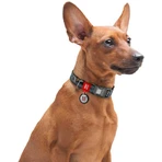Collar Waudog Nylon - Нашийник нейлоновий з малюнком "Тінь Бетмена" і QR паспортом для собак М (2х28-40 см): ціни та характеристики
