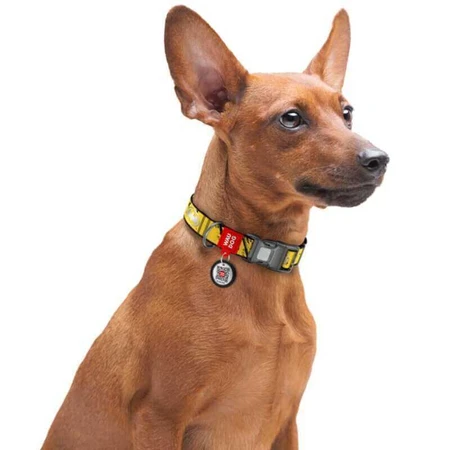 Collar Waudog Nylon - Нашийник нейлоновий світловідбивний з малюнком "Бетмен Ескіз" і QR паспортом для собак S (1,5х25-35 см): ціни та характеристики
