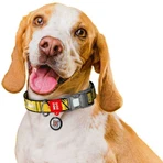Collar Waudog Nylon - Нашийник нейлоновий світловідбивний з малюнком "Бетмен Ескіз" і QR паспортом для собак S (1,5х25-35 см): ціни та характеристики