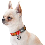 Collar Waudog Nylon - Нашийник нейлоновий світловідбивний з малюнком "Флеш Лого" та QR паспортом для собак S (1,5х25-35 см): ціни та характеристики