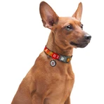 Collar Waudog Nylon - Нашийник нейлоновий світловідбивний з малюнком "Флеш Лого" та QR паспортом для собак S (1,5х25-35 см): ціни та характеристики