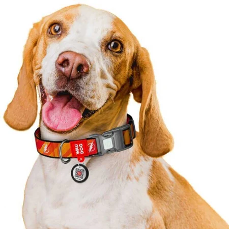 Collar Waudog Nylon - Нашийник нейлоновий світловідбивний з малюнком "Флеш Лого" та QR паспортом для собак S (1,5х25-35 см): ціни та характеристики