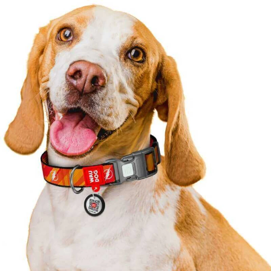 Collar Waudog Nylon - Нашийник нейлоновий світловідбивний з малюнком "Флеш Лого" та QR паспортом для собак S (1,5х25-35 см): ціни та характеристики