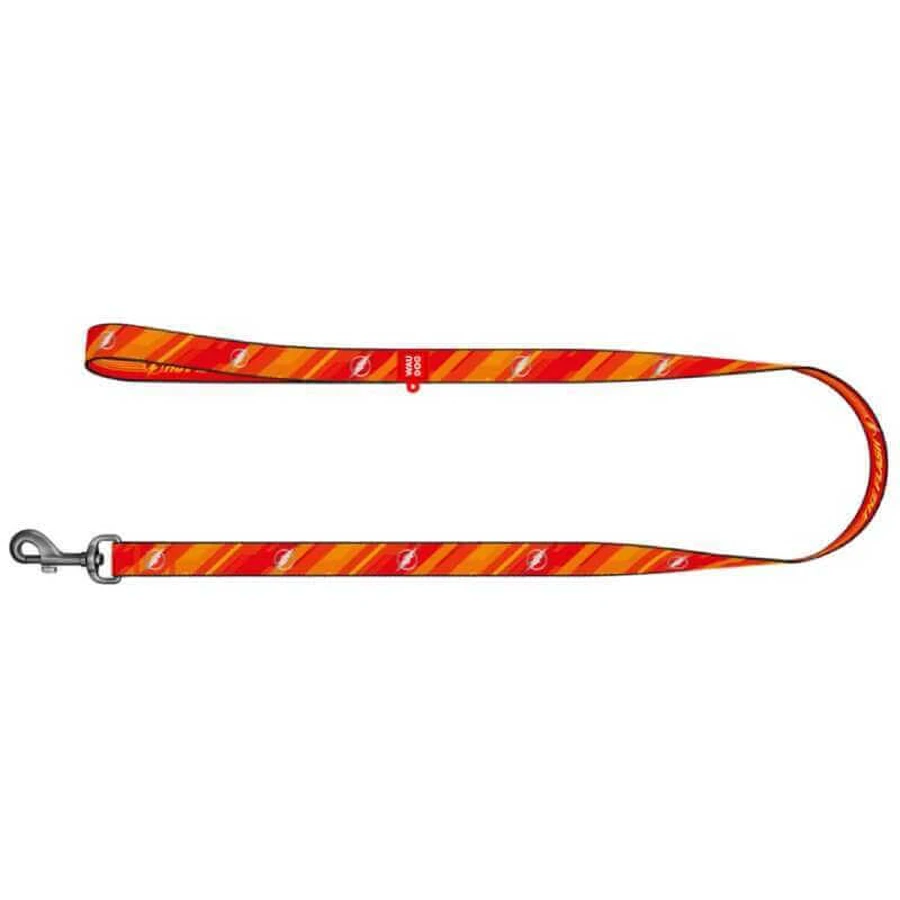 Collar Waudog Nylon - Повідець нейлоновий світловідбивний з малюнком "Флеш Лого" для собак M (2х122 см): ціни та характеристики