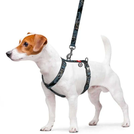 Collar Waudog Nylon - Шлей анатомический H-образный с рисунком "Тень Бэтмена" и QR-паспортом для собак L (2,5х51-85х60-85 см): цены и характеристики