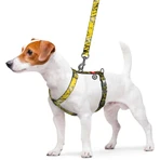 Collar Waudog Nylon - Шлея анатомічна світловідбивна з малюнком "Бетмен Ескіз" і QR-паспортом для собак S (1,5х30-45х35-45 см): ціни та характеристики
