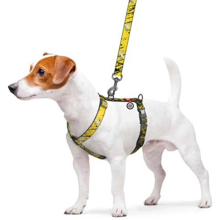 Collar Waudog Nylon - Шлея анатомічна світловідбивна з малюнком "Бетмен Ескіз" і QR-паспортом для собак S (1,5х30-45х35-45 см): ціни та характеристики