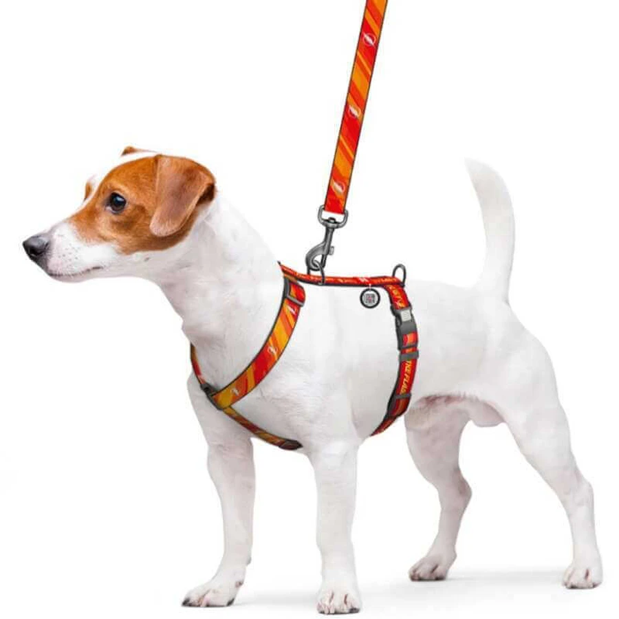 Collar Waudog Nylon - Шлей анатомический светоотражающий с рисунком "Флеш Лого" и QR-паспортом для собак М (2х38-60х45-60 см): цены и характеристики