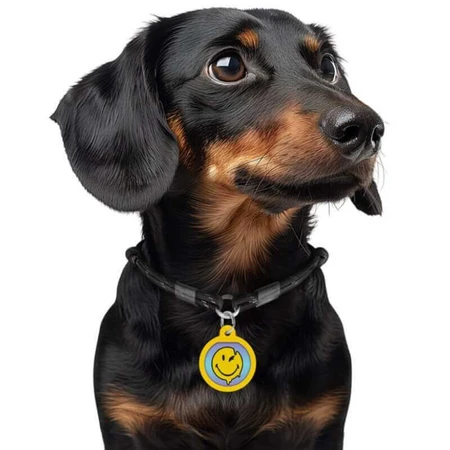 Collar Waudog Smart ID - Адресник металевий з малюнком "Смайли на блакитному" та QR паспортом для собак і котів 30 мм (Різнокольоровий): ціни та характеристики