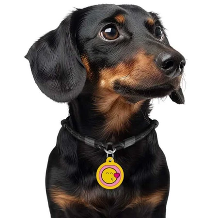 Collar Waudog Smart ID - Адресник металевий з малюнком "Смайли на рожевому" та QR паспортом для собак і котів 30 мм: ціни та характеристики