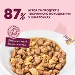 Delickcious Duck, Chicken Fillet & Spinach in Sauce - Повнораціонний консервований корм Шматочки з качкою, курячим філе і шпинатом в соусі для дорослих котів 85 г: ціни та характеристики
