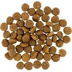 Savory Fresh Turkey & Chicken Puppy All Breeds Сухой корм со свежей индейкой и курицей для щенков всех пород, 1 кг: цены и характеристики