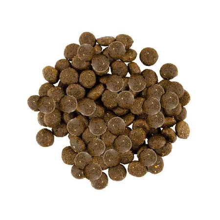 Savory Fresh Turkey & Lamb Adult Small Breeds Сухий корм зі свіжого м'яса індички і ягняти для маленьких порід собак, 8 кг: ціни та характеристики