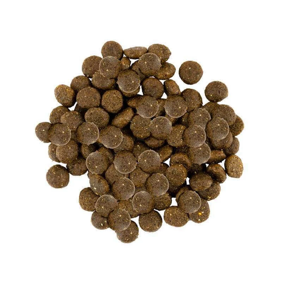 Savory Fresh Turkey & Lamb Adult Small Breeds Сухий корм зі свіжого м'яса індички і ягняти для маленьких порід собак, 8 кг: ціни та характеристики