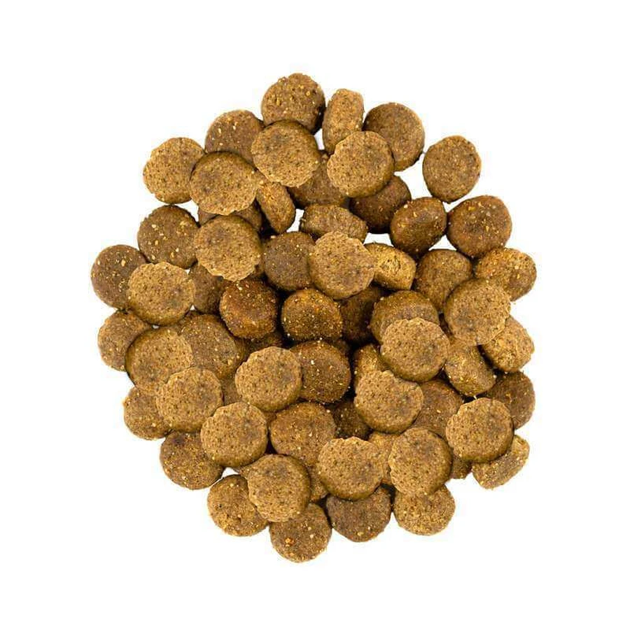 Savory Fresh Turkey & Lamb Adult Medium Breeds Сухий корм зі свіжого м'яса індички і ягняти для дорослих собак середніх порід, 1 кг: ціни та характеристики