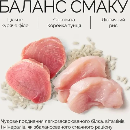 Savory Chicken Fillets rich in Tuna in Jelly Cat Вологий корм з філе курки та тунцем для дорослих котів (шматочки в желе), 70 г: ціни та характеристики