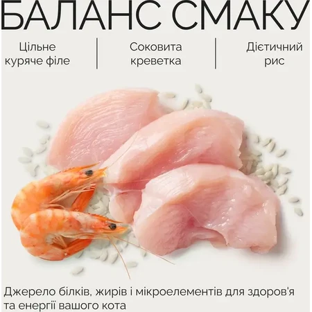 Savory Chicken Fillets rich in Shrimp in Jelly Cat Вологий корм з філе курки та креветками для дорослих котів (шматочки в желе), 70 г: ціни та характеристики