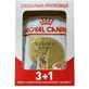Royal Canin Yorkshire Terrier Adult Влажный корм для взрослых собак породы Йоркширский Терьер (паштет), 3+1 шт.