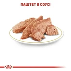 Royal Canin Yorkshire Terrier Adult Влажный корм для взрослых собак породы Йоркширский Терьер (паштет), 3+1 шт.: цены и характеристики