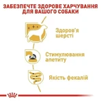 Royal Canin Yorkshire Terrier Adult Влажный корм для взрослых собак породы Йоркширский Терьер (паштет), 3+1 шт.: цены и характеристики
