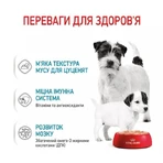 Royal Canin Starter Mother & Babydog Mousse Мус для цуценят до 2-х місяців,195 г, 3+1 шт.: ціни та характеристики