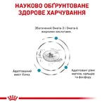 Royal Canin Skin&Coat Cat Ветеринарная диета для кошек после стерилизации при дерматозе и выпадении шерсти, 3,5 кг: цены и характеристики