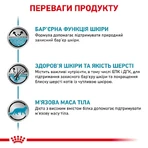 Royal Canin Skin&Coat Cat Ветеринарная диета для кошек после стерилизации при дерматозе и выпадении шерсти, 3,5 кг: цены и характеристики