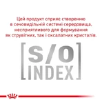 Royal Canin Skin&Coat Cat Ветеринарная диета для кошек после стерилизации при дерматозе и выпадении шерсти, 3,5 кг: цены и характеристики