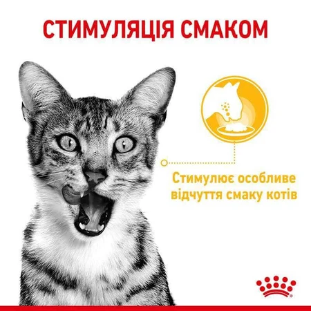 Royal Canin Sensory Taste in Jelly Влажный корм с мясом для взрослых кошек, стимулирующий вкусовые рецепторы (кусочки в желе), 85 г, 3+1 шт: цены и характеристики