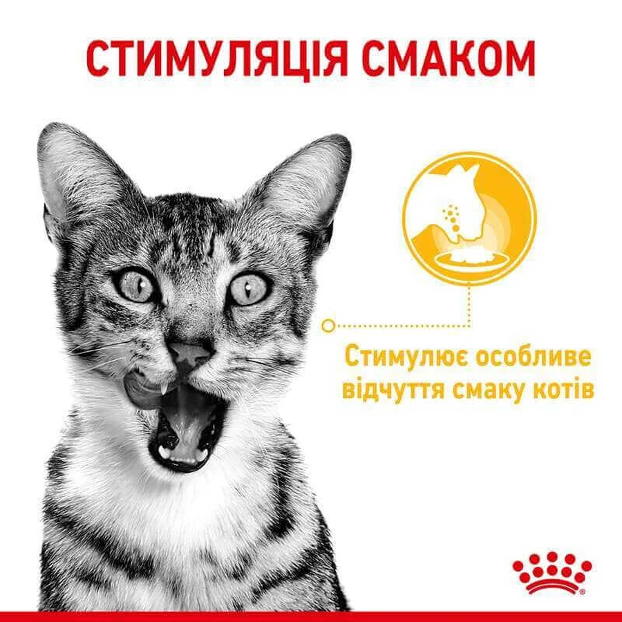 Royal Canin Sensory Taste in Jelly Влажный корм с мясом для взрослых кошек, стимулирующий вкусовые рецепторы (кусочки в желе), 85 г, 3+1 шт: цены и характеристики