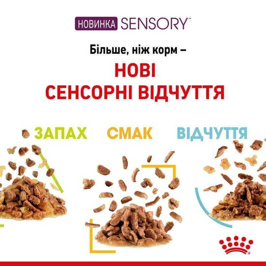 Royal Canin Sensory Taste in Jelly Влажный корм с мясом для взрослых кошек, стимулирующий вкусовые рецепторы (кусочки в желе), 85 г, 3+1 шт: цены и характеристики
