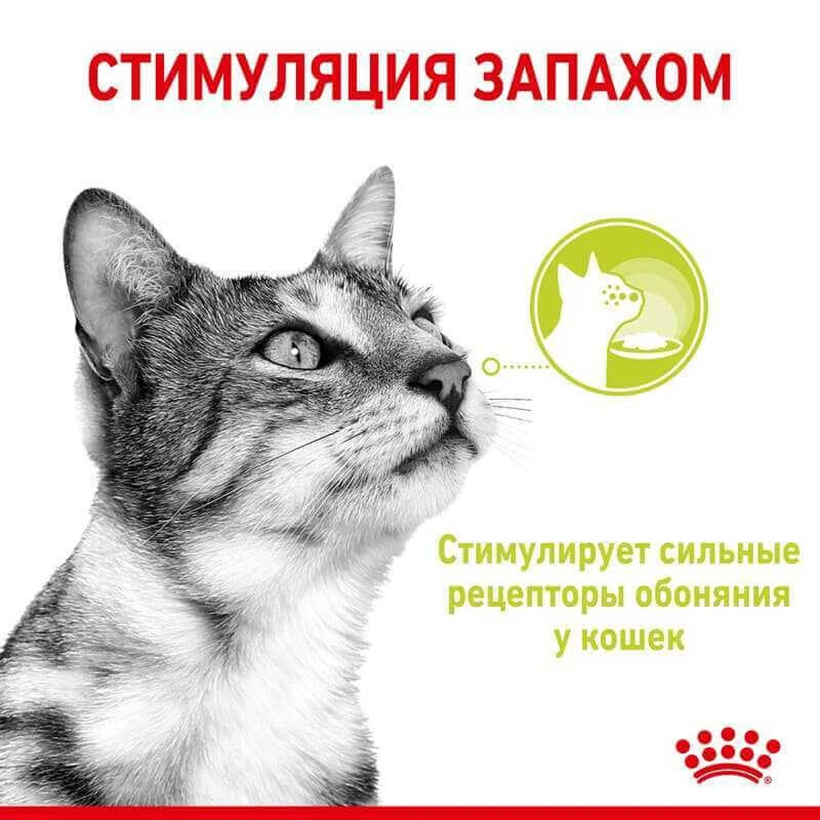 Royal Canin Sensory Smell in Jelly Влажный корм с мясом и рыбой для взрослых кошек, стимулирующий обонятельные рецепторы (кусочки в желе), 85 г, 3+1 шт.: цены и характеристики
