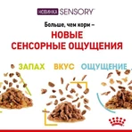 Royal Canin Sensory Smell in Jelly Влажный корм с мясом и рыбой для взрослых кошек, стимулирующий обонятельные рецепторы (кусочки в желе), 85 г, 3+1 шт.: цены и характеристики