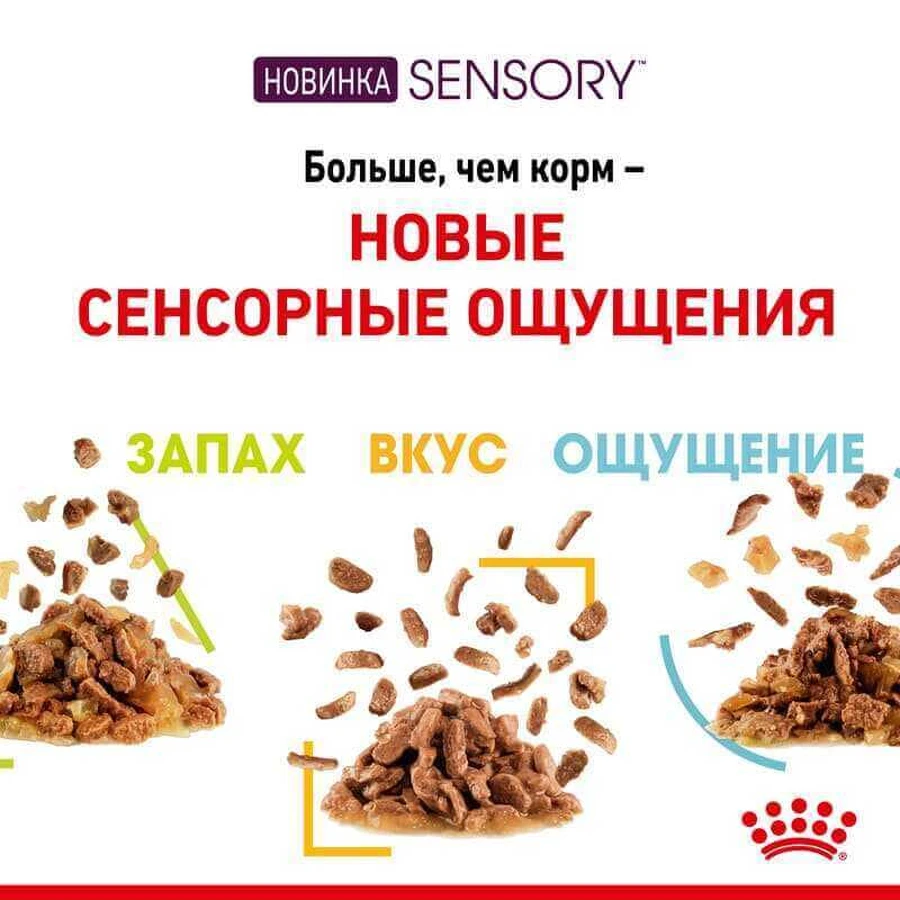 Royal Canin Sensory Smell in Jelly Влажный корм с мясом и рыбой для взрослых кошек, стимулирующий обонятельные рецепторы (кусочки в желе), 85 г, 3+1 шт.: цены и характеристики
