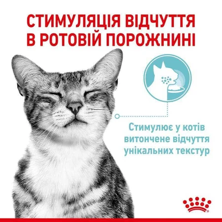 Royal Canin Sensory Feel in Jelly Влажный корм с мясом для взрослых кошек, стимулирующий осязательные рецепторы полости рта (кусочки в желе), 85 г, 3+1 шт.: цены и характеристики