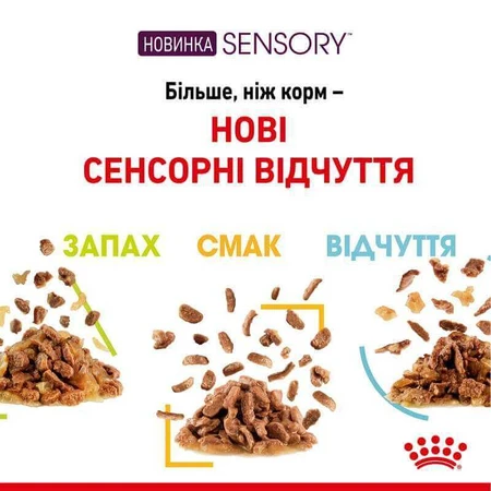 Royal Canin Sensory Feel in Jelly Влажный корм с мясом для взрослых кошек, стимулирующий осязательные рецепторы полости рта (кусочки в желе), 85 г, 3+1 шт.: цены и характеристики