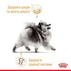 Royal Canin Pomeranian Loaf Вологий корм з м'ясом для дорослих собак породи Померанський шпіц (паштет), 85 г, 3+1 шт: ціни та характеристики