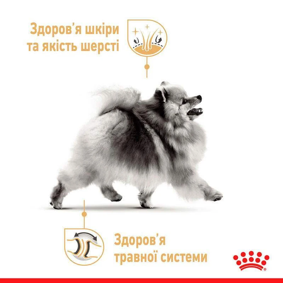 Royal Canin Pomeranian Loaf Вологий корм з м'ясом для дорослих собак породи Померанський шпіц (паштет), 85 г, 3+1 шт: ціни та характеристики